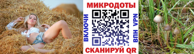 Псилоцибиновые грибы Magic Shrooms  Зеленокумск 